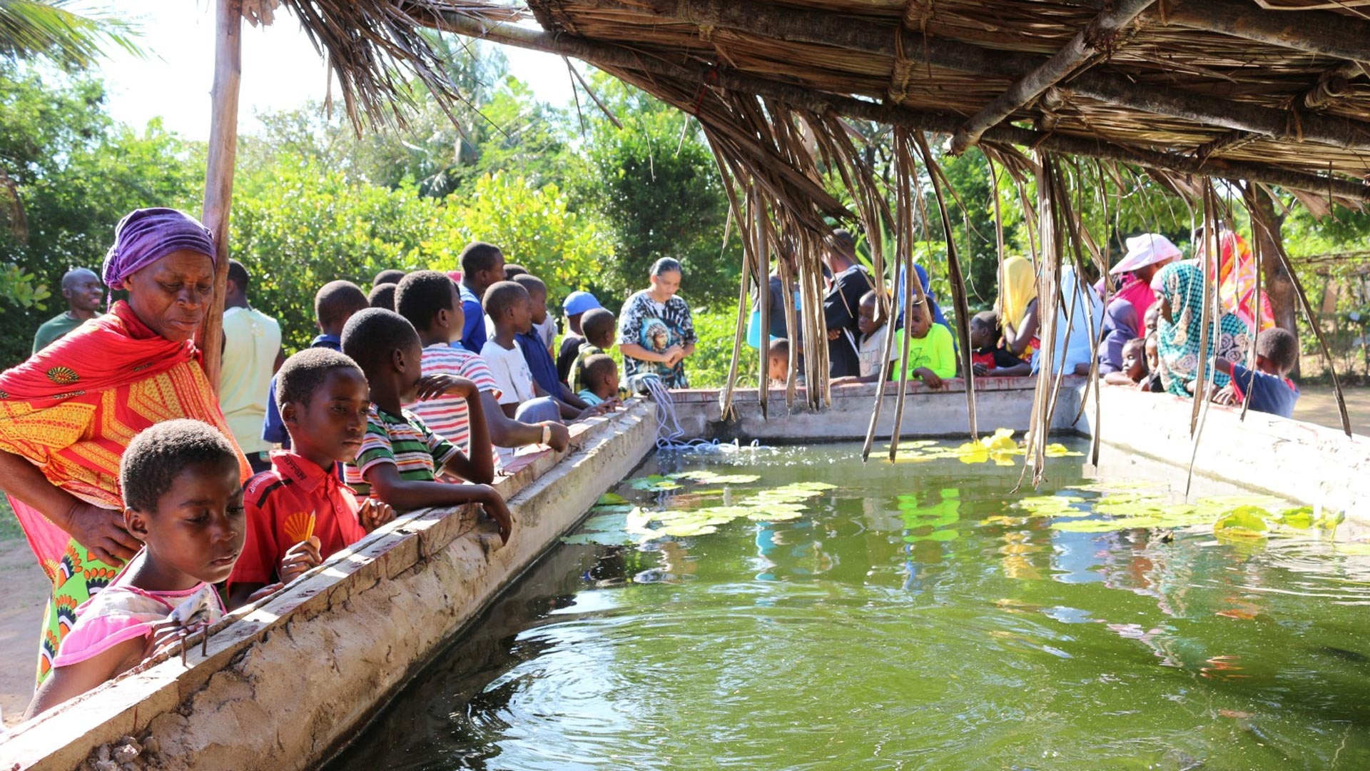 Kinder und ältere Dorfbewohnerinnen und Dorfbewohner stehen um ein Fischaufzuchtbecken aus Stein unter einem Strohdach und schauen ins grüne Wasser.