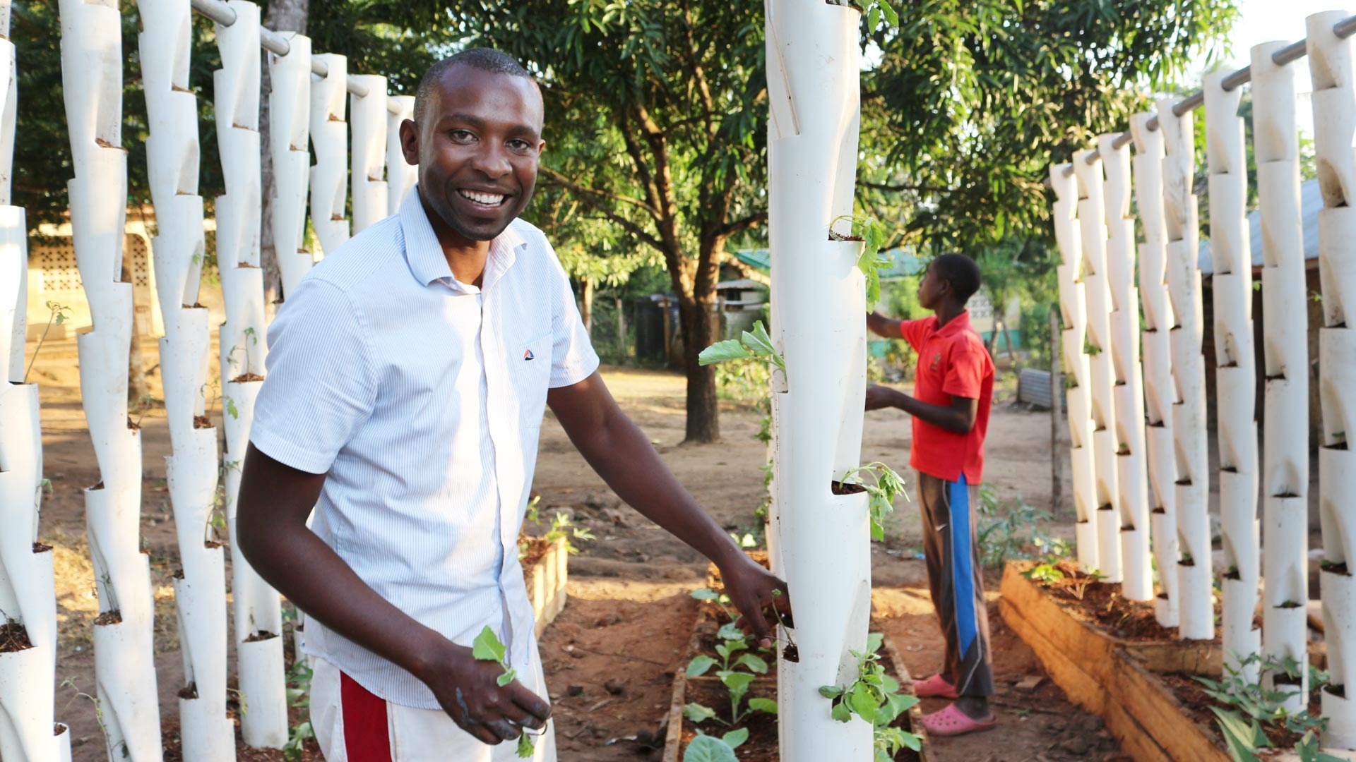 A young Kenyan man laughingly works in a vertical fruit and vegetable garden.