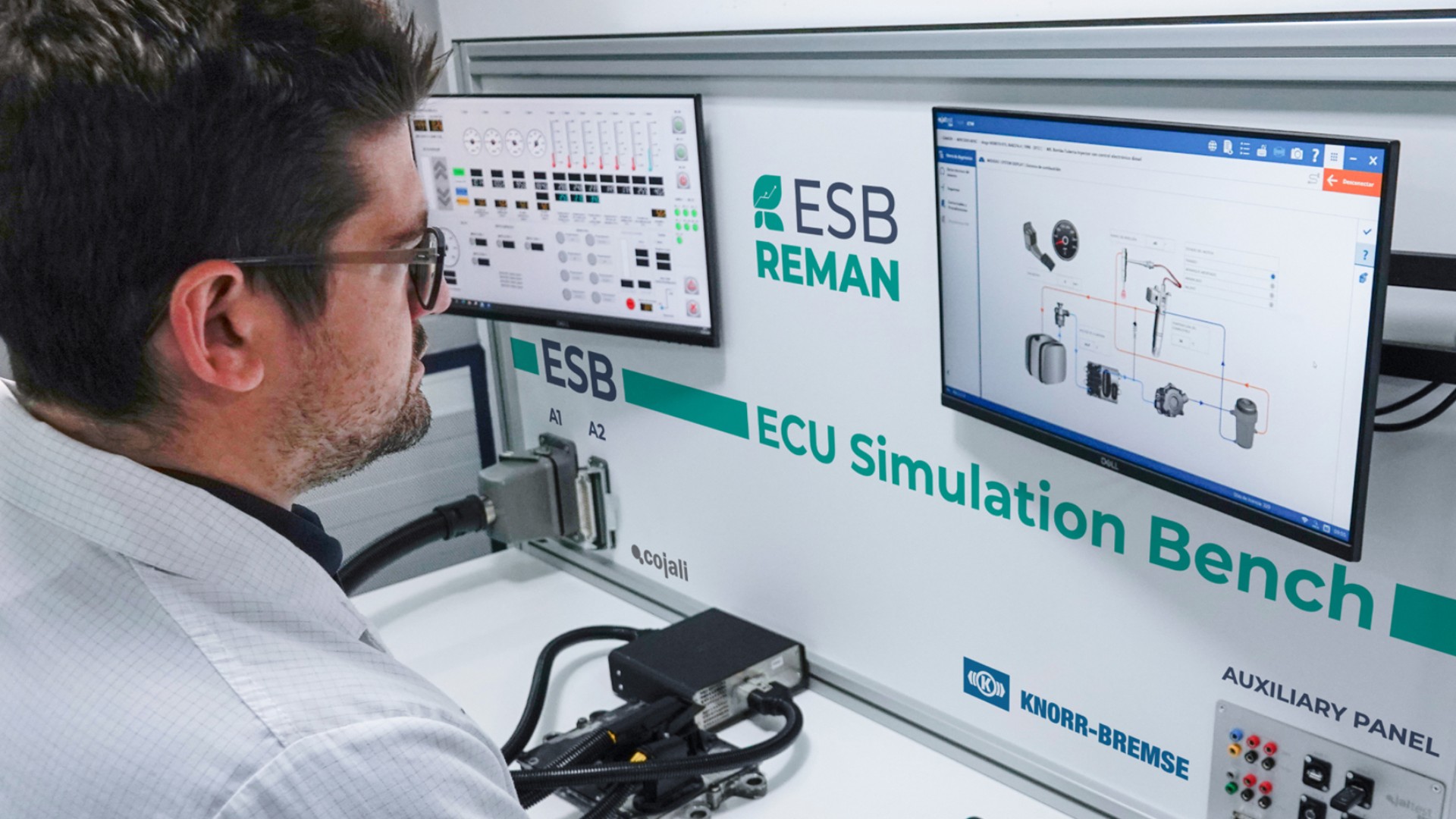 Simulation and test bench for electronic control units (ECUs) with diagnostic displays