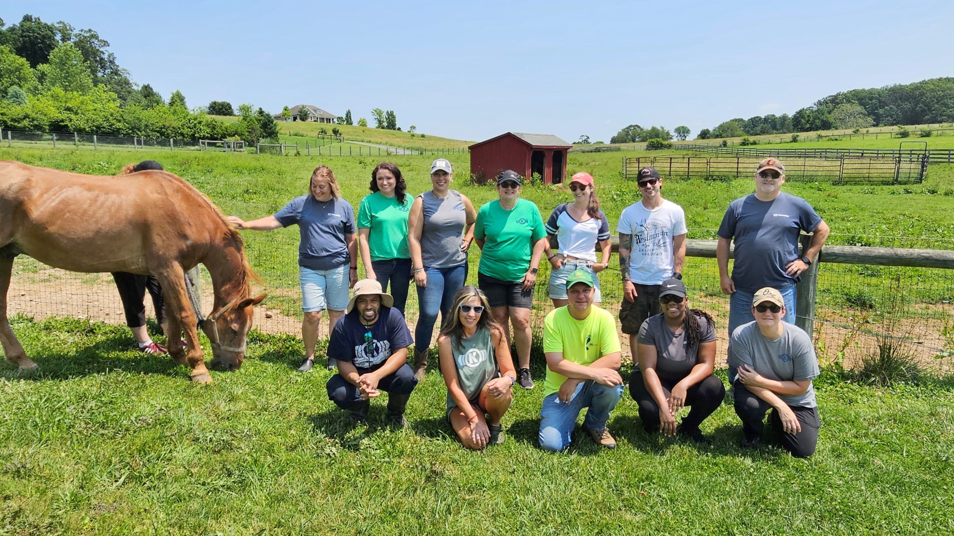 Group photo of a volunteer team from Westminster on a horse pasture supporting a nonprofit horse rescue organization