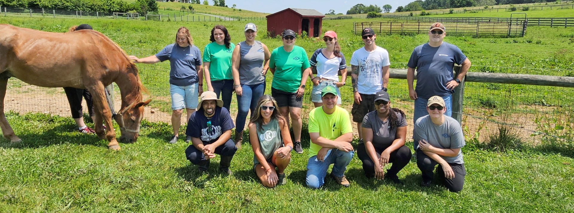 Group photo of a volunteer team from Westminster on a horse pasture supporting a nonprofit horse rescue organization