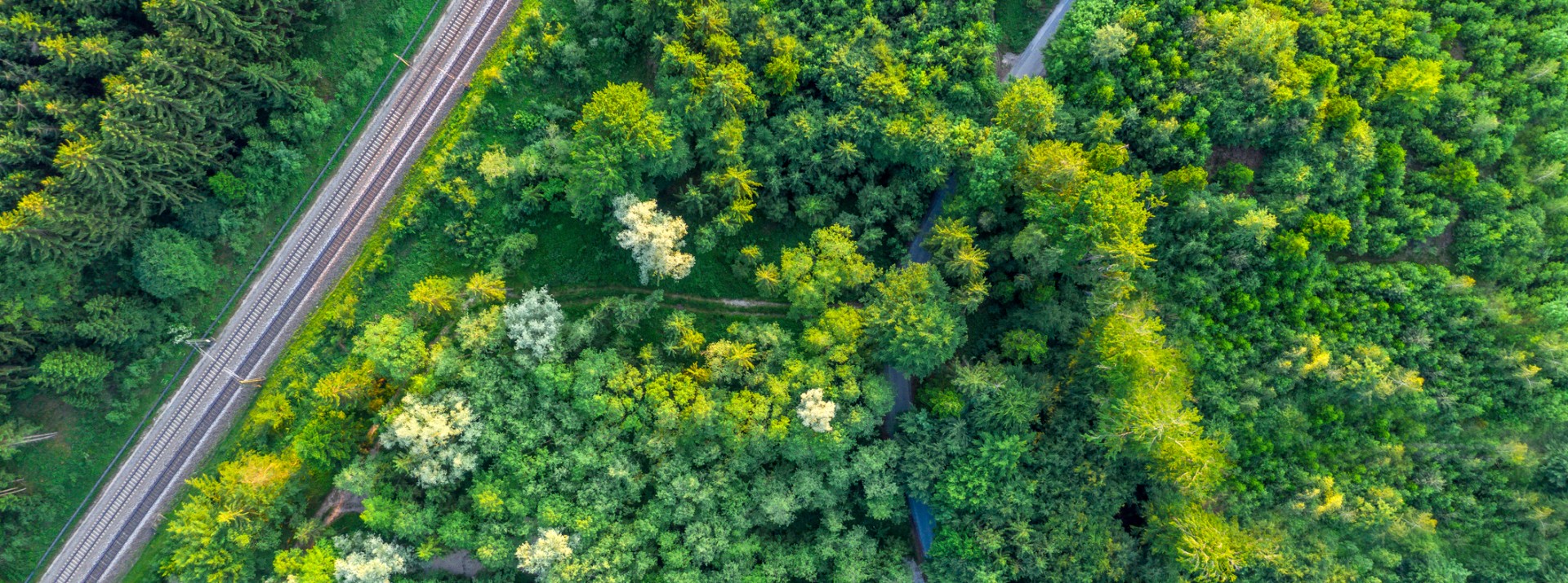 Drohnenaufnahme von Bahntrasse und Straße durch dichtes Waldgebiet als Symbol für die beiden Geschäftsbereiche von Knorr‑Bremse, das Nachhaltigkeitsengagement des Unternehmens sowie für nachhaltige Mobilität